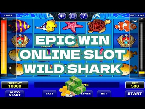 Video Übersicht Spielautomat Online Wild Shark