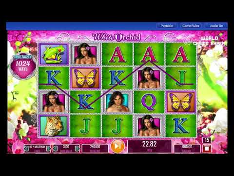 Video Übersicht Spielautomat Online White Orchid