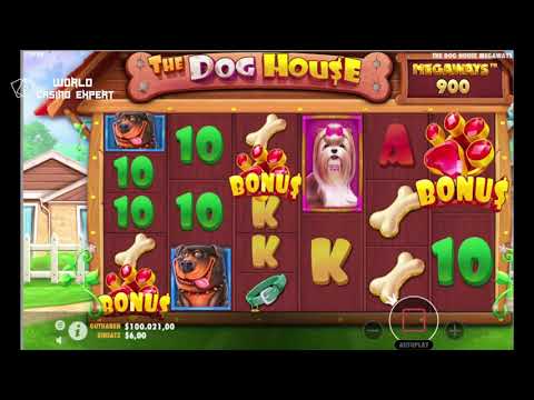Video Übersicht Spielautomat Online The Dog House