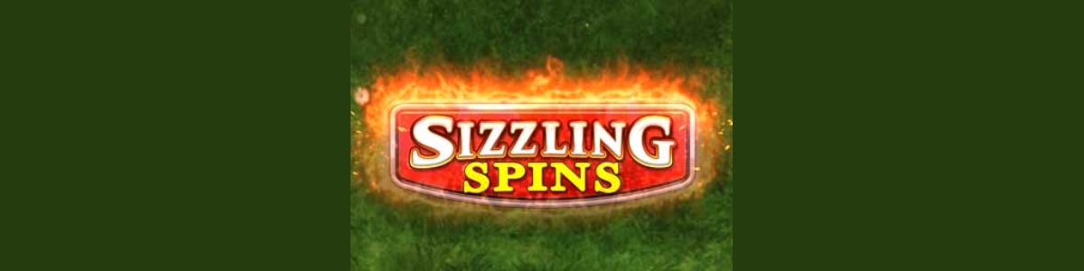 Sizzling Spins