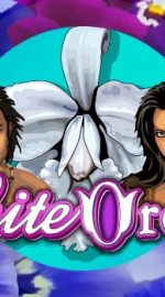 White Orchid