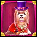Symbol von Slot Online The Dog House Royal Hunt - 3